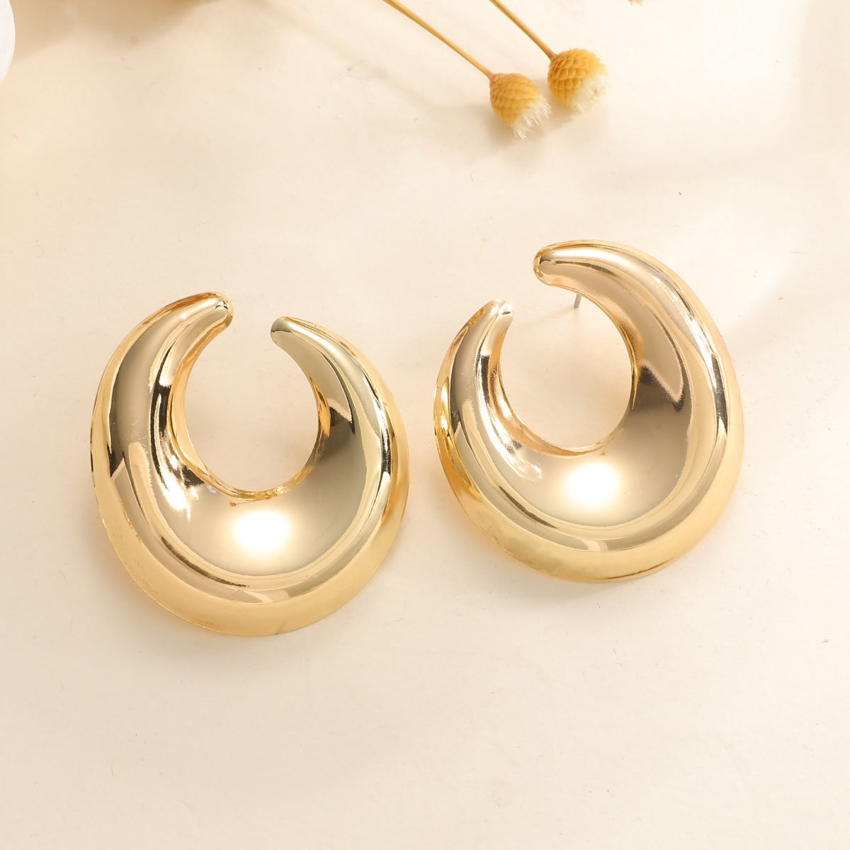 Women's earrings with elegant curved design Style and Serve