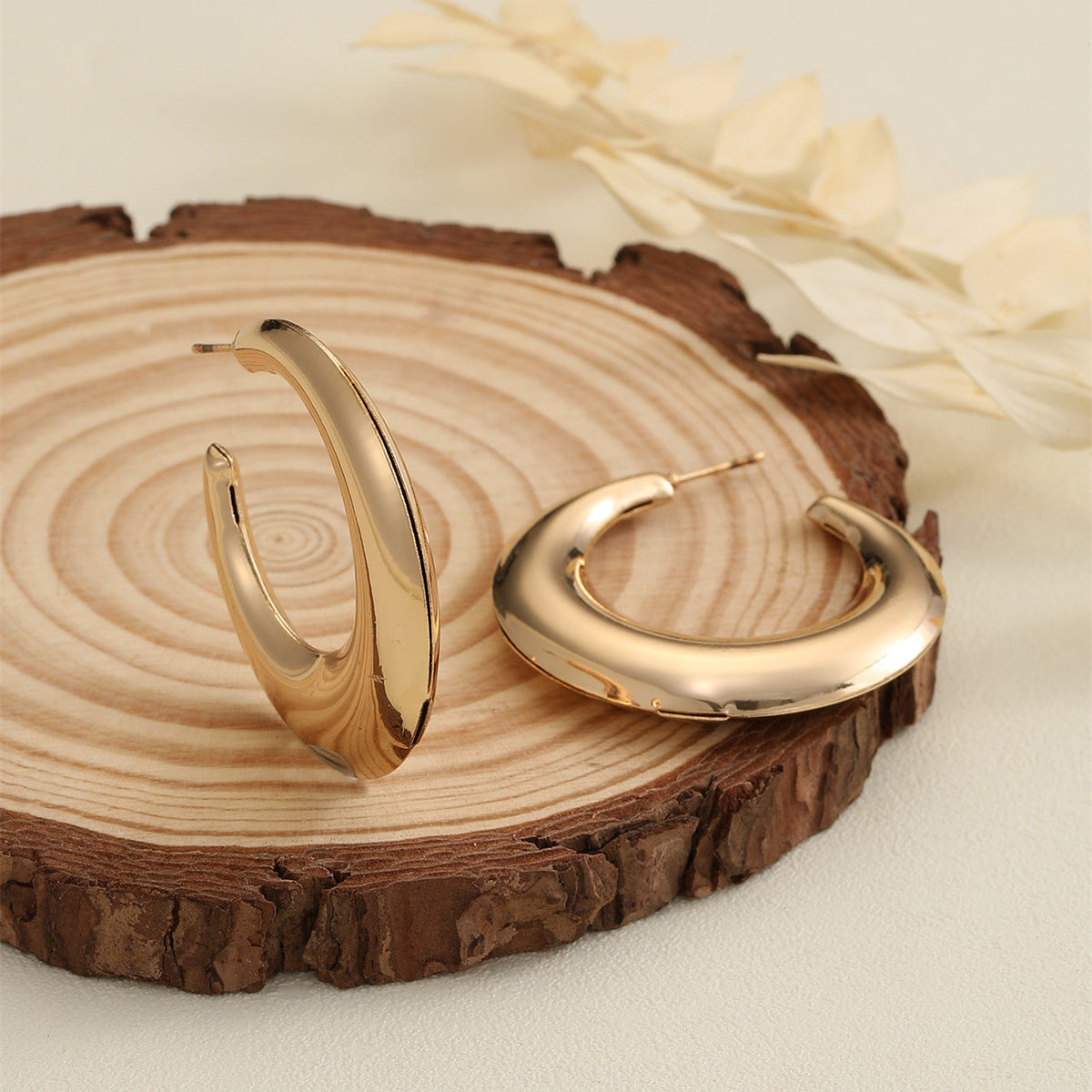 Women's Hanging Earrings in Modern Crescent Design Style and Serve